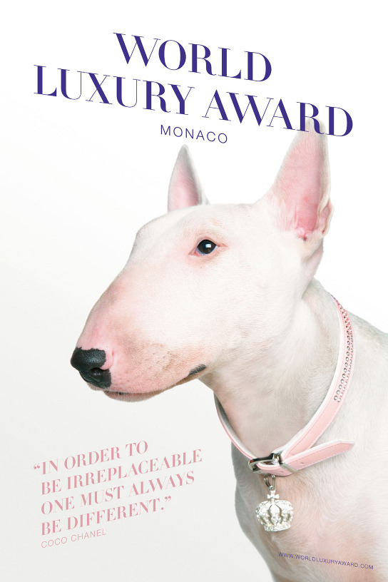luxuryaward07_poster_WEB_544-2